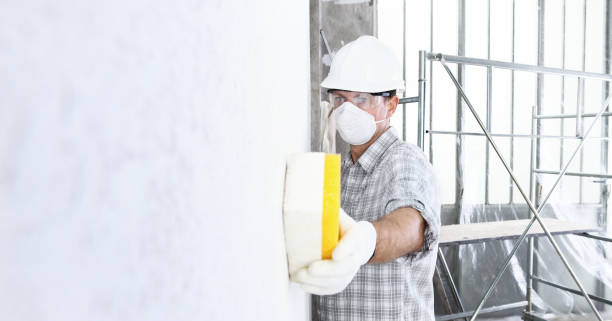 Environmental Consulting for Mold Prevention in Herlong, CA